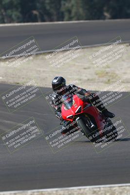 media/Sep-20-2025-TrackDaz (Sat) [[27f0cde673]]/A Group/10am (Turn 3)/